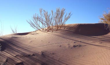 Kalahari Salt Pan