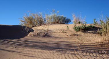 Kalahari Salt Pan